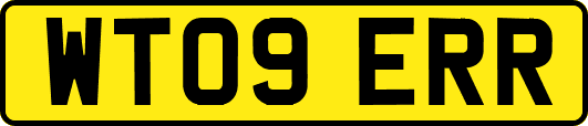 WT09ERR