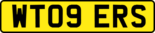 WT09ERS