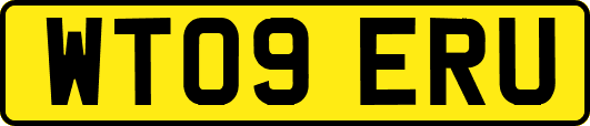 WT09ERU