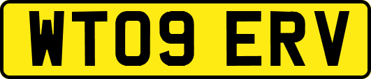 WT09ERV