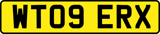 WT09ERX