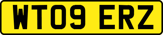 WT09ERZ