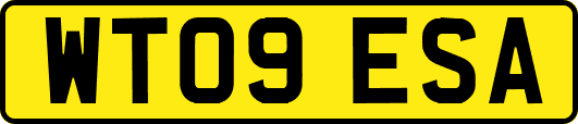 WT09ESA