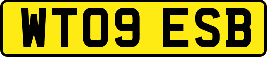 WT09ESB