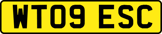 WT09ESC