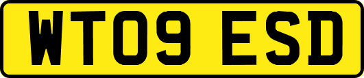 WT09ESD
