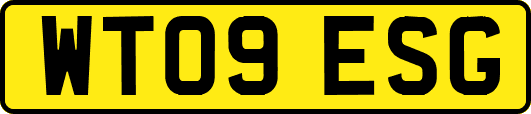 WT09ESG