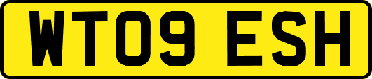 WT09ESH