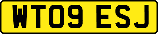 WT09ESJ