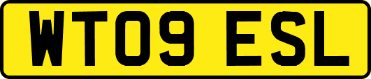 WT09ESL