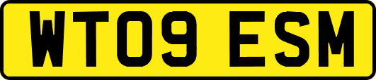 WT09ESM