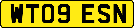WT09ESN