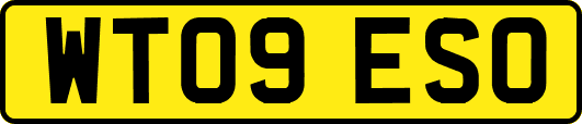WT09ESO
