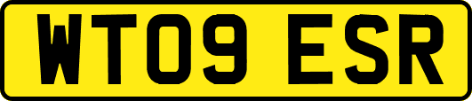WT09ESR