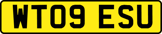WT09ESU