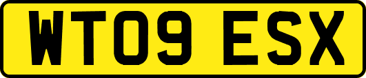 WT09ESX