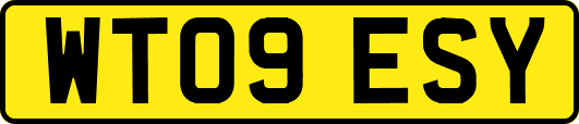WT09ESY