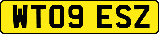 WT09ESZ