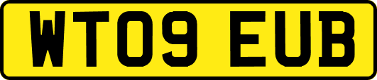 WT09EUB