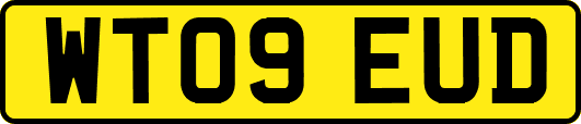 WT09EUD