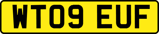 WT09EUF