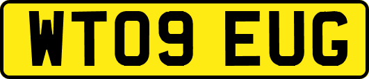 WT09EUG