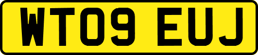 WT09EUJ