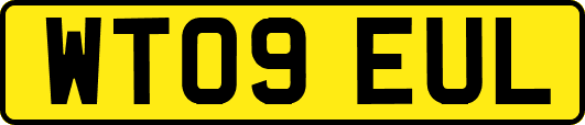 WT09EUL