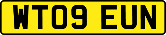 WT09EUN