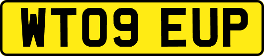 WT09EUP