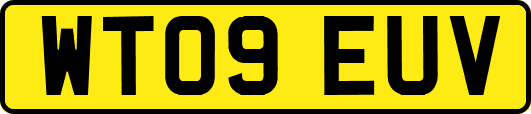 WT09EUV