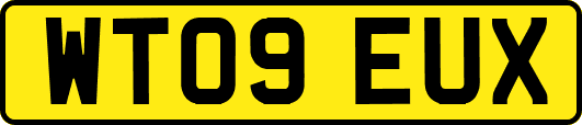 WT09EUX