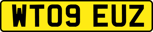 WT09EUZ