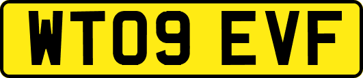 WT09EVF