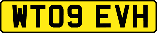WT09EVH