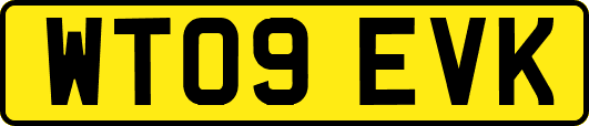 WT09EVK