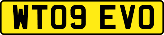WT09EVO