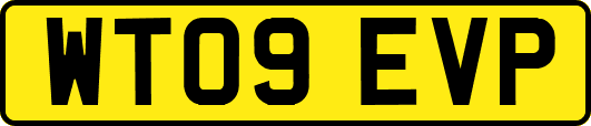 WT09EVP