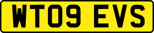 WT09EVS