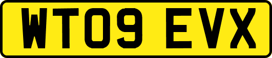 WT09EVX
