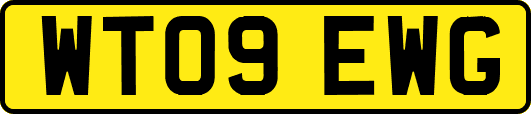 WT09EWG