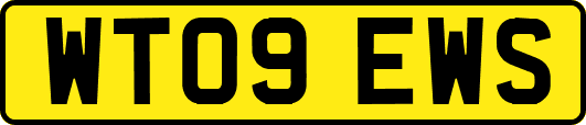 WT09EWS