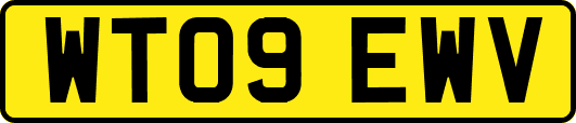 WT09EWV