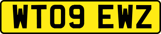 WT09EWZ