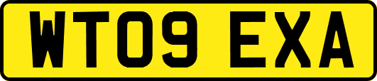 WT09EXA