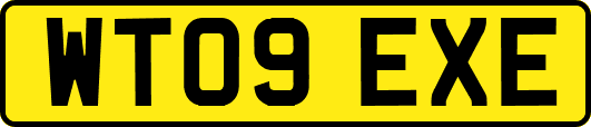 WT09EXE