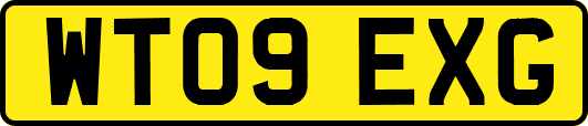 WT09EXG