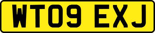 WT09EXJ