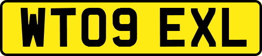 WT09EXL