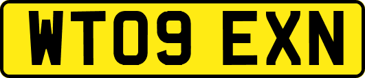 WT09EXN